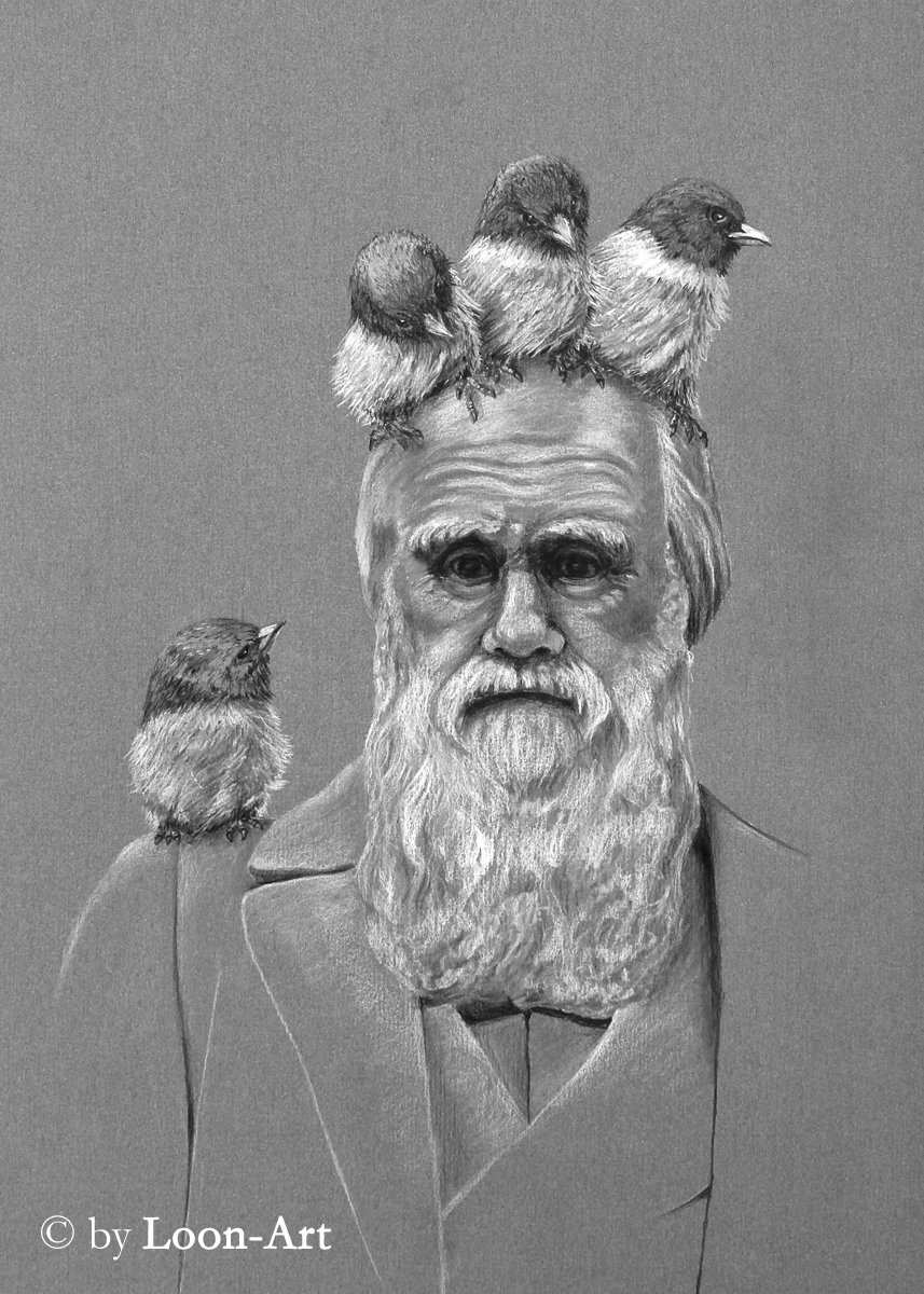 Dreierbande (17) auf Darwins Kopf: National History Museum, London, 2019