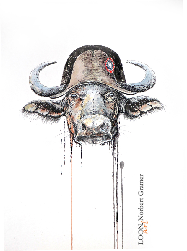 Syncerus napoleonus, 2025